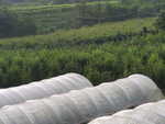 CIMG0051