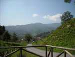 DSCN0155