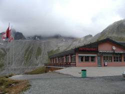 tn P8193982