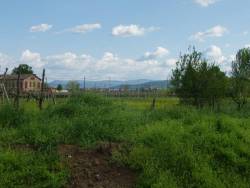 LORENZA...25-4-04 080