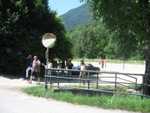 Immagine 096.jpg