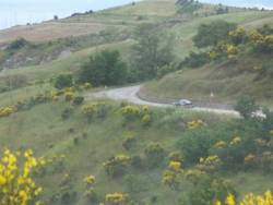 Sullo sterrato del 1000 Miglia!!!