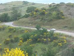 Sullo sterrato del 1000 Miglia!!!