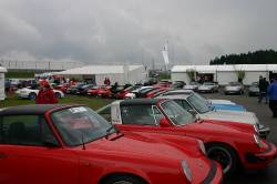 medium IMG 0717