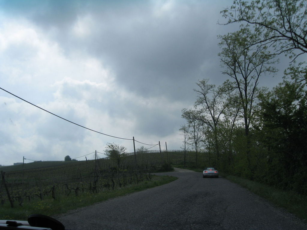 IMG_7724.JPG