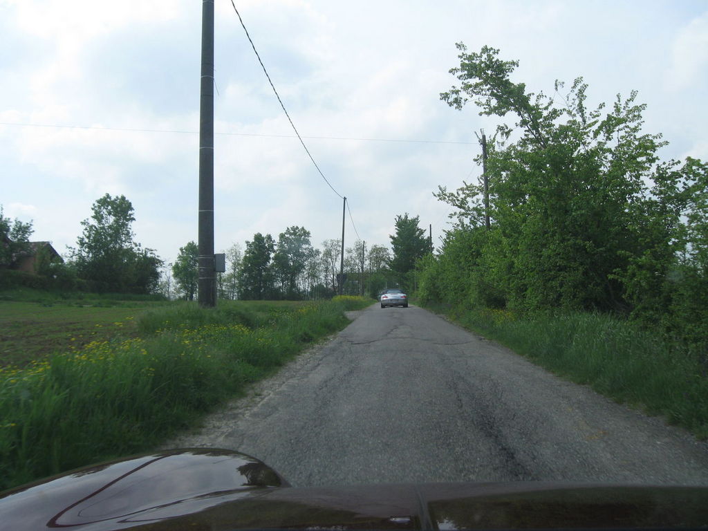 IMG_7729.JPG