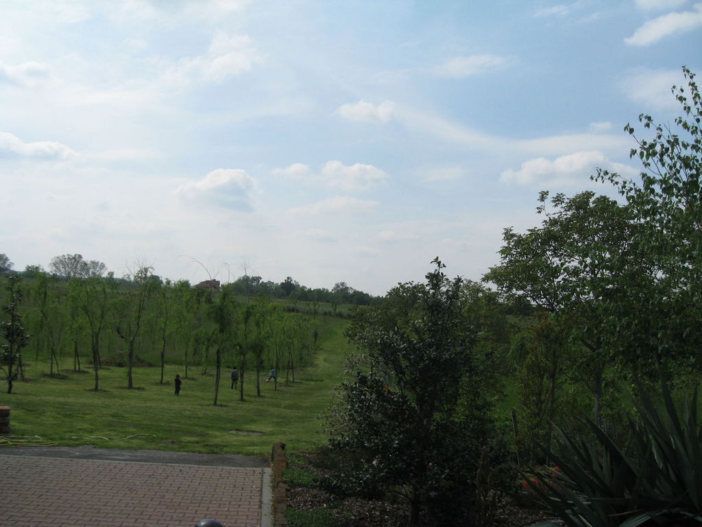 IMG_7782.JPG