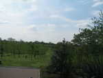 IMG_7782.JPG