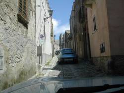 DSCN6442