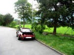 IMG_8892a.jpg