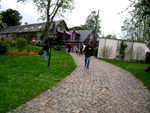 IMG_8942b.jpg
