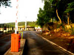 IMG_8955c.jpg