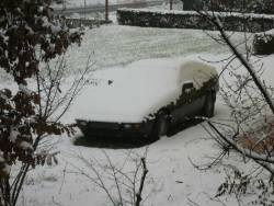 Sotto una coperta di neve...
(matig84)