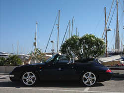 Carrera profilo