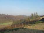 raduno piemonte 2008 020.jpg