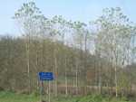 raduno piemonte 2008 124.jpg