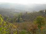 DSCN0297