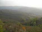 DSCN0305