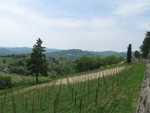 IMG_8254.jpg