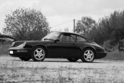 Highlight for Album: 964 di Massimo (Probano)