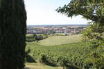 Dedo_Veneto_2009_10.jpg