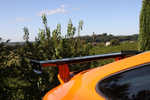 Dedo_Veneto_2009_11.jpg