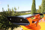 Dedo_Veneto_2009_12.jpg