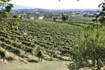 Dedo_Veneto_2009_30.jpg