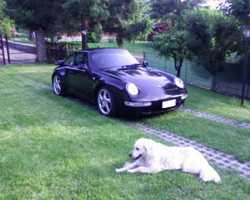 993 tt 010