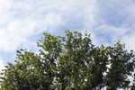 IMG 0069 1024x683
