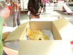 DSCN8497.JPG