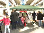 DSCN8498.JPG