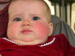 DSCN8543.JPG