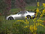 DSCN9196.JPG