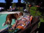 DSCN9894.JPG