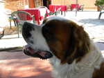 DSCN9925.JPG