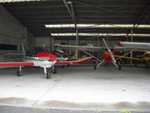 CIMG6798.jpg