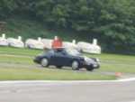 IMG_7344.jpg