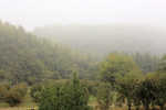 Arignano_2012_16.jpg