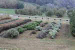 Arignano_2012_17.jpg