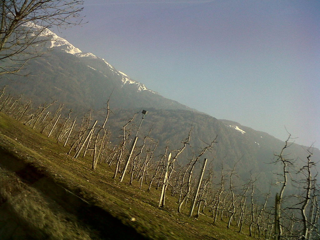IMG00022-20110311-1523
