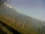 IMG00022-20110311-1523