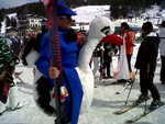 IMG00047-20110312-1305