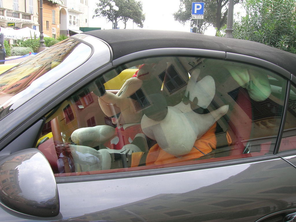 DSCN5065.JPG
