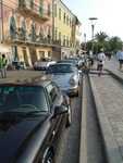 celle ligure fedenet2k (1).JPG