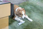 LdG 2012 (dedo) 095.jpg