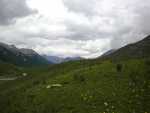 DSCN0396
