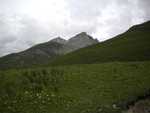 DSCN0397