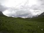 DSCN0398