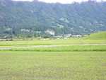 interlaken 2008 083.jpg
